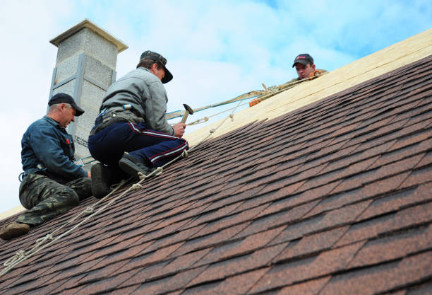 Best Roof Gutter Cleaning  in Moxee, WA